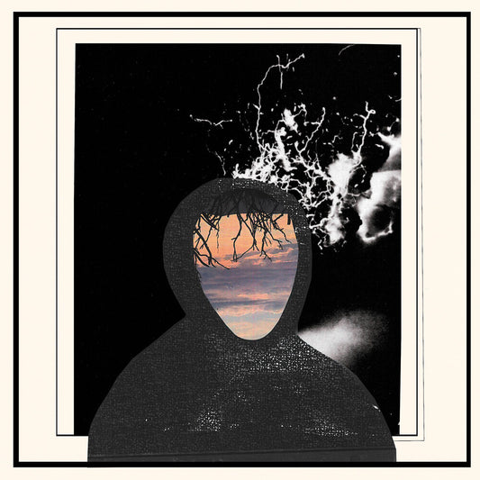 Doseone / Steel Tipped Dove - All Portrait No Chorus [LP]