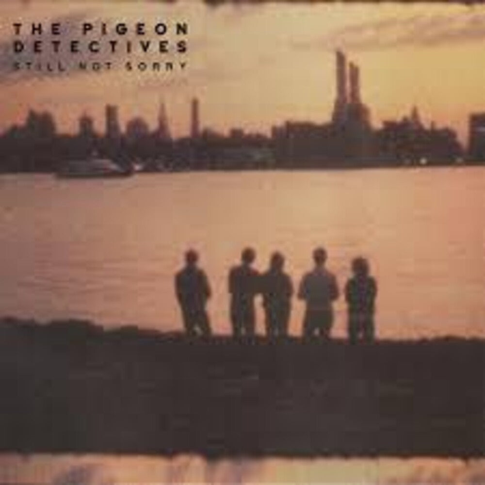 Pigeon Detectives - Still Not Sorry (Uk) [LP]