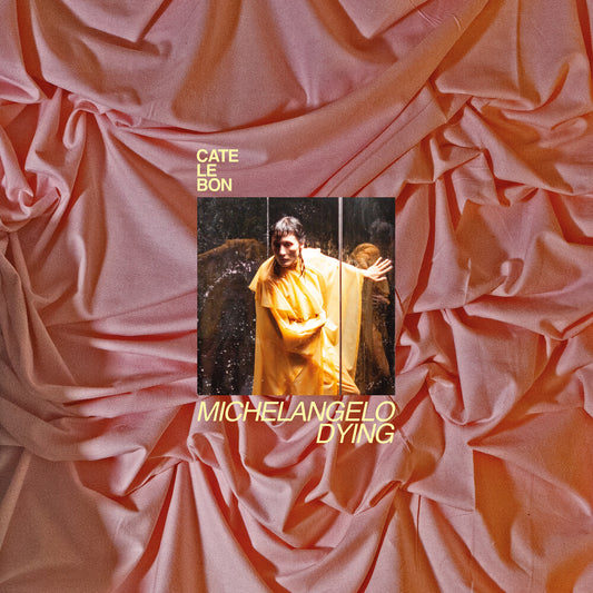 Pre-Order: Cate Le Bon - Michelangelo Dying