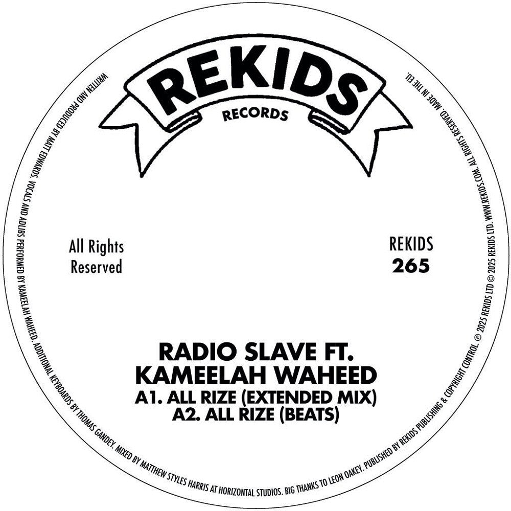 Radio Slave - All Rize [LP]
