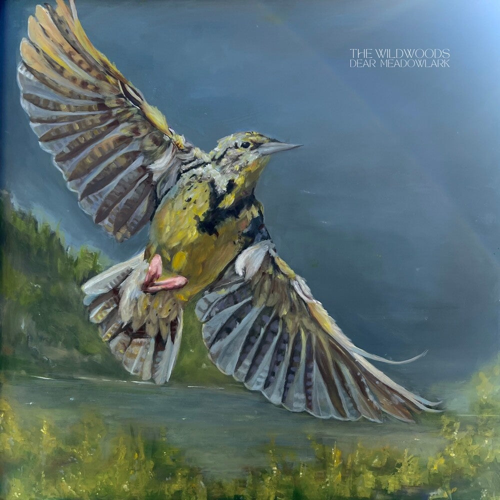 Wildwoods - Dear Meadowlark [CD]