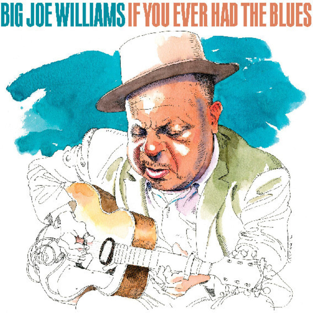 the album cover for Big Williams  Joe - If You Ever Had The Blues (Eco)
