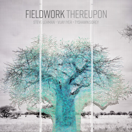 Pre-Order: Fieldwork - Thereupon