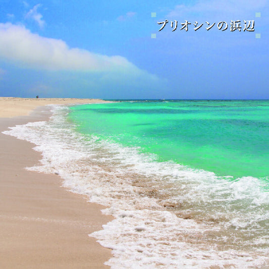 Pre-Order: Ken-Ichiro Isoda - Beach Of The Pliocene