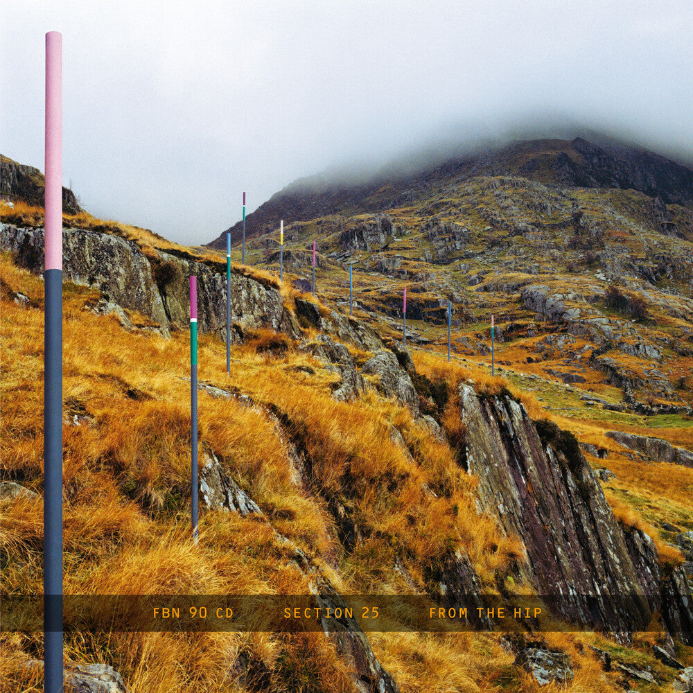 the album cover for Section 25 - From The Hip (Box) [With Booklet] [Remastered]