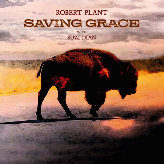 Pre-Order: Robert Plant - Saving Grace [Black LP]