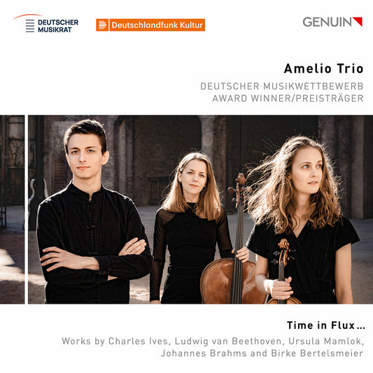 Pre-Order: Amelio Trio - Time In Flux