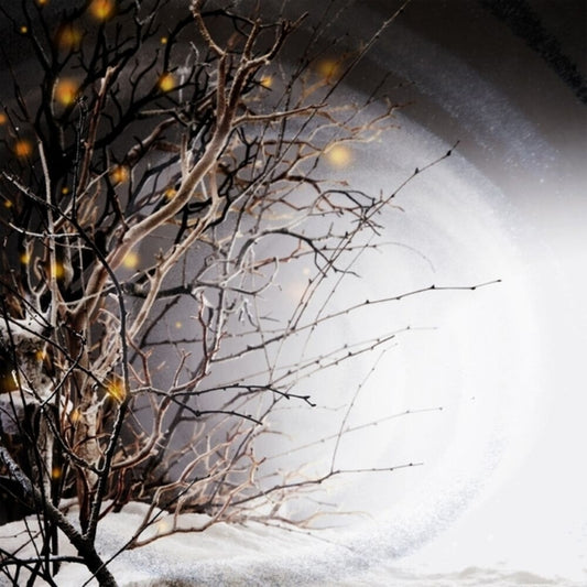 the album cover for Winterlight - Winterlight