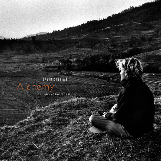 Pre-Order: David Sylvian - Alchemy: An Index Of Possibilities - Gold Opaque