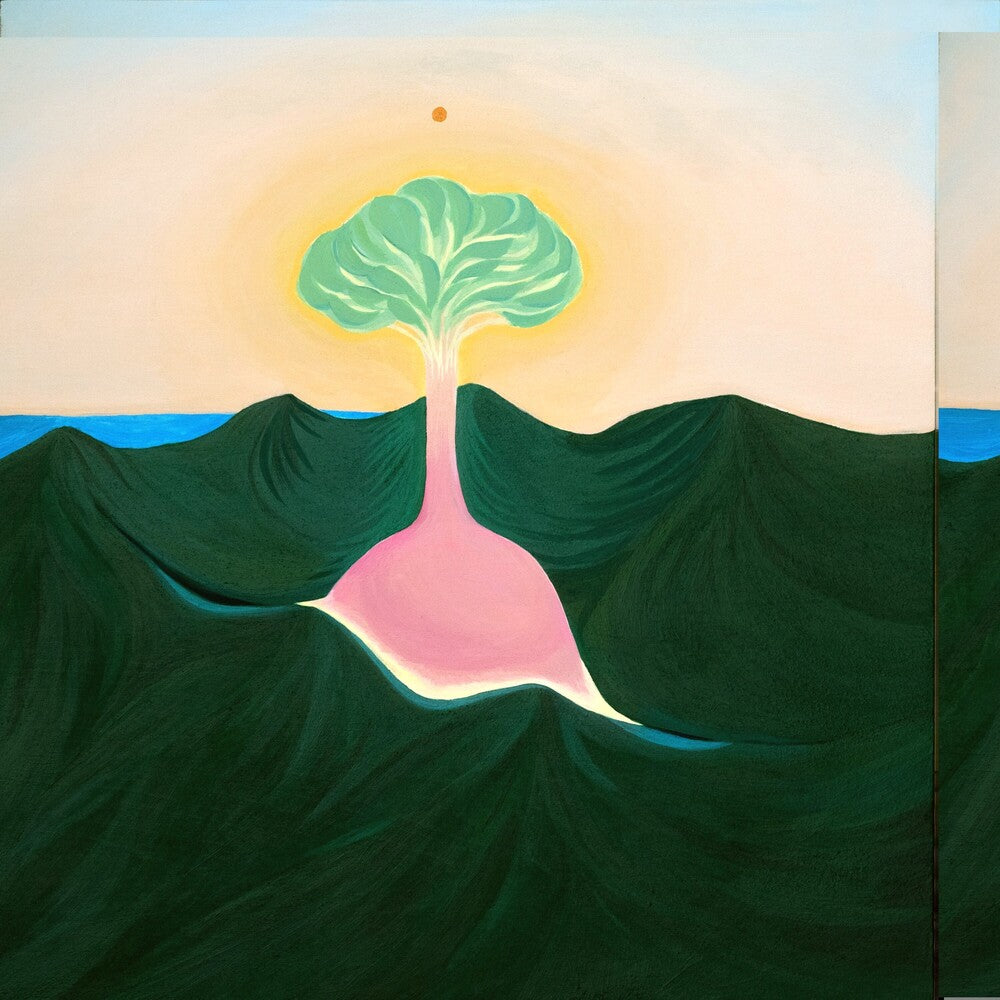 Evisbeats & Nagipan - Suiten [LP]