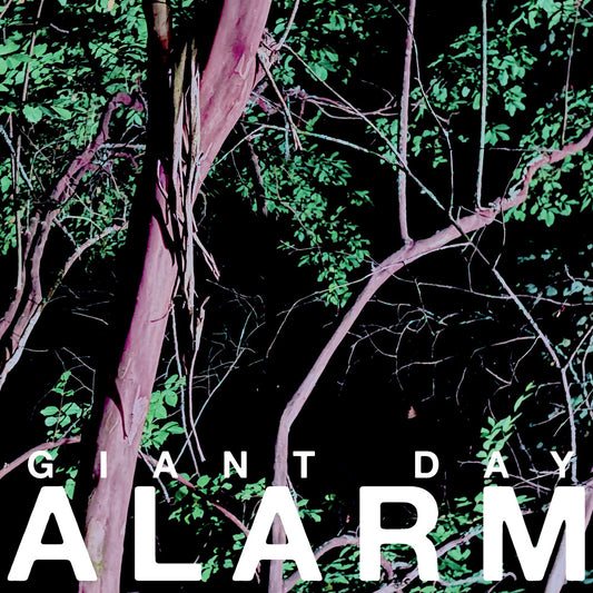 Pre-Order: Giant Day - Alarm