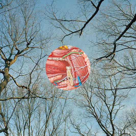 Pre-Order: They Might Be Giants - Glean [Clear Vinyl] (Red)