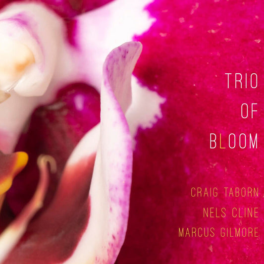 Pre-Order: Trio Of Bloom - Trio Of Bloom