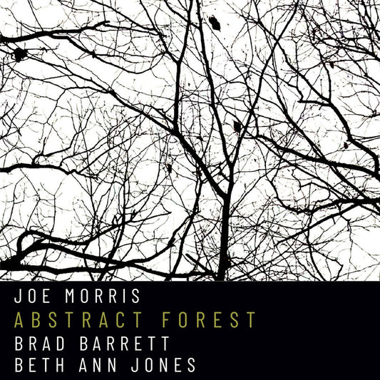 Pre-Order: Joe Morris - Abstract Forest