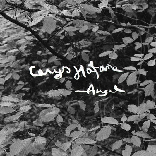Pre-Order: Cerys Hafana - Angel