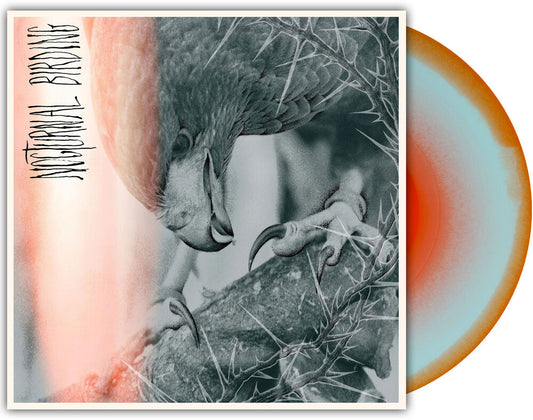 Pre-Order: Author &amp; Punisher - Nocturnal Birding [Custom Merge LP]