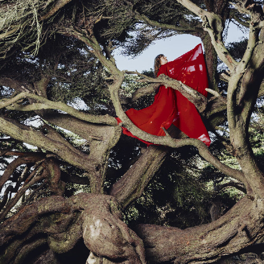 Pre-Order: Hannah Frances - Nested In Tangles