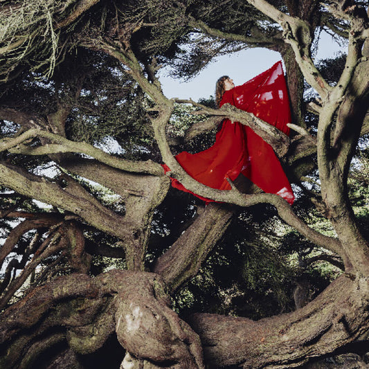 Pre-Order: Hannah Frances - Nested In Tangles