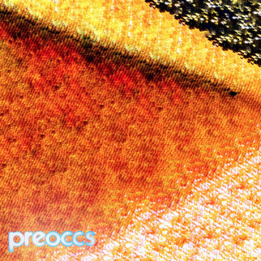 Pre-Order: Preoccupations - Mur/Ponr [Colored Vinyl] (Ylw)