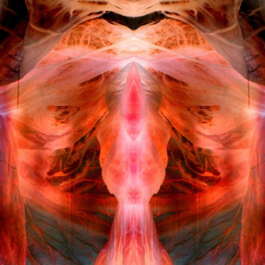Pre-Order: Paul Schutze - Annihilating Angel Or Surface Of The World [Reissue]