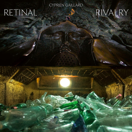 Pre-Order: Cyprien Gaillard - Retinal Rivalry