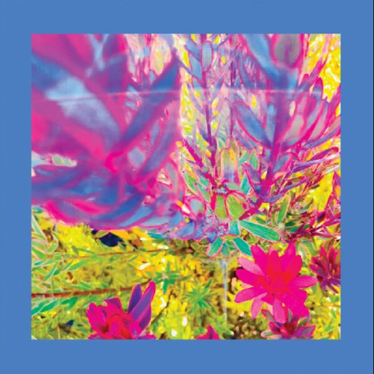 Pre-Order: Reds Pinks & Purples - Past Is A Garden I Never Fed (Blue) [Colored Vinyl] [Download Included]