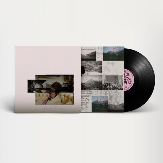 Pre-Order: Fionn Regan - O Avalanche [LP]