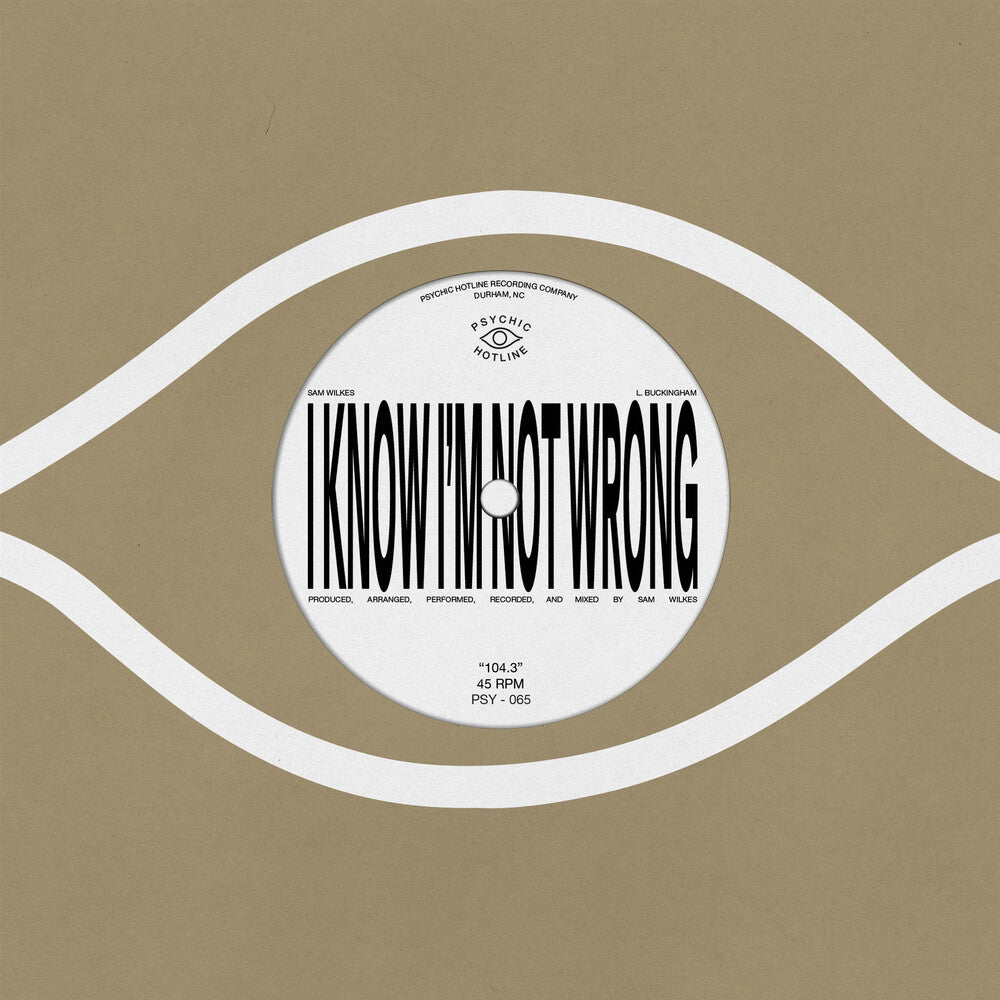 Pre-Order: Sam Wilkes - 104.3 [LP]