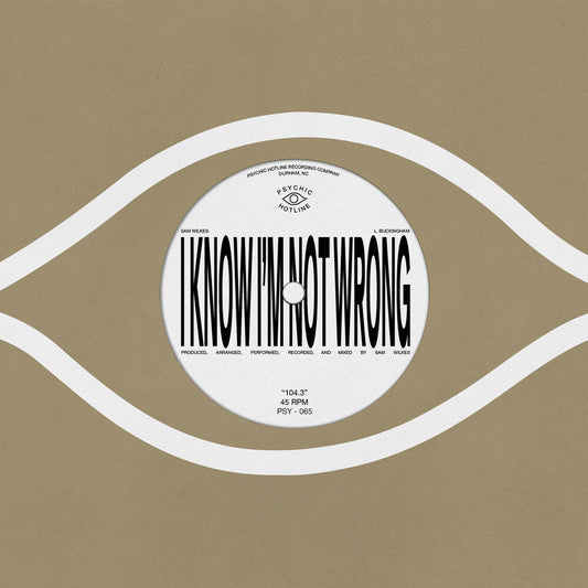 Pre-Order: Sam Wilkes - 104.3 [LP]