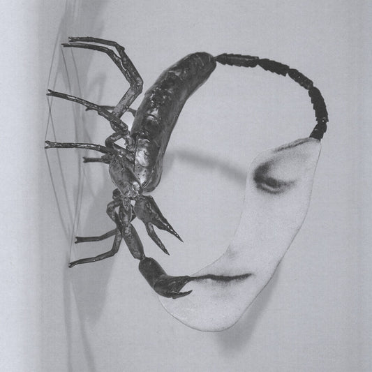Pre-Order: Tortoise - Touch