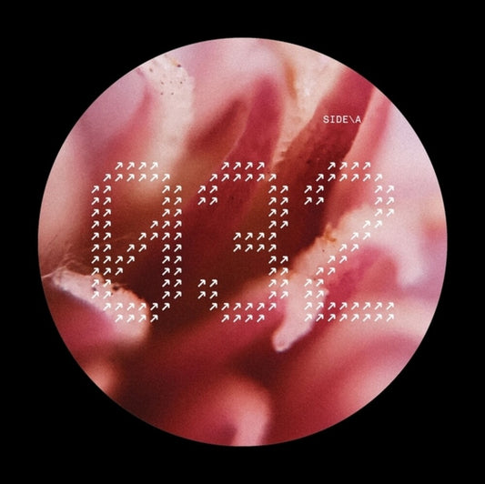 Pre-Order: Nech032 / Various - NECH032