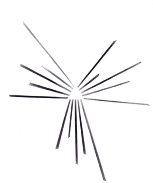 Pre-Order: Six Organs Of Admittance - Mariakapel