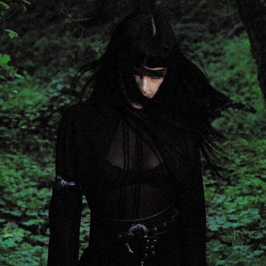 the album cover for Not for Radio - Melt [Indie Exclusive Translucent Wood Vinyl]