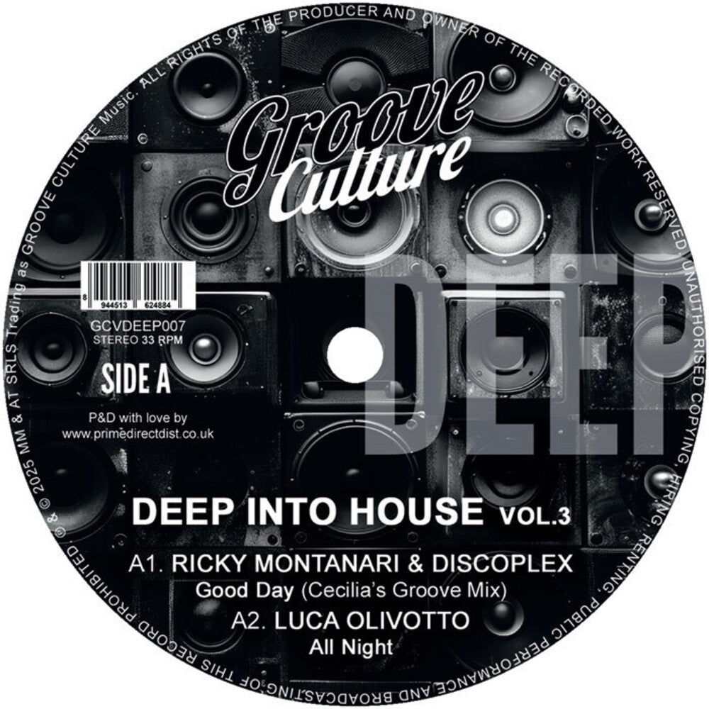 Pre-Order: Deep Into House Vol. 3 / Various - Deep Into House Vol. 3 / Various