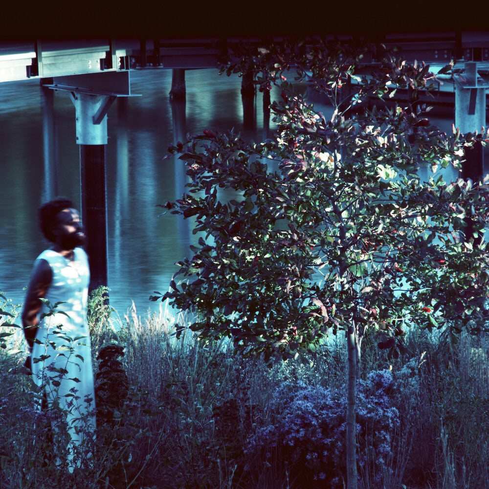 Pre-Order: Jjjjjerome Ellis - Vesper Sparrow [LP]