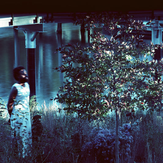 Pre-Order: Jjjjjerome Ellis - Vesper Sparrow [LP]