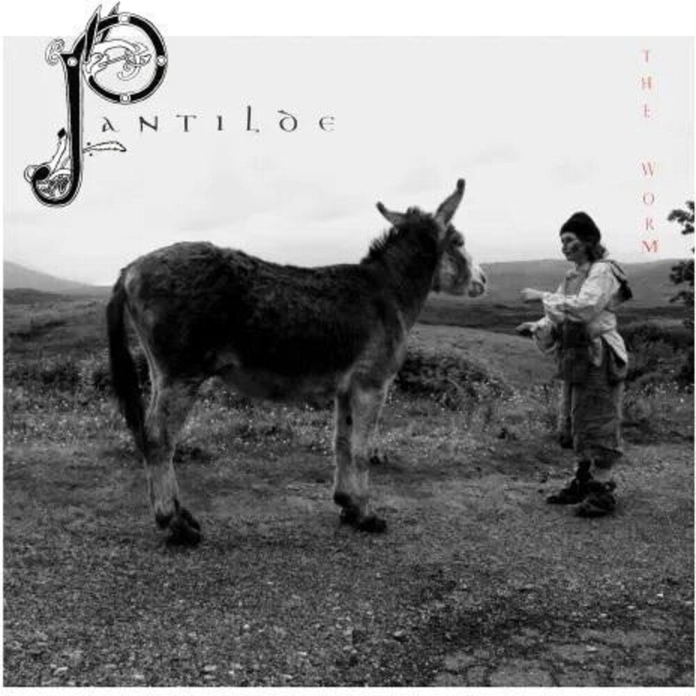 the album cover for Worm - Pantilde