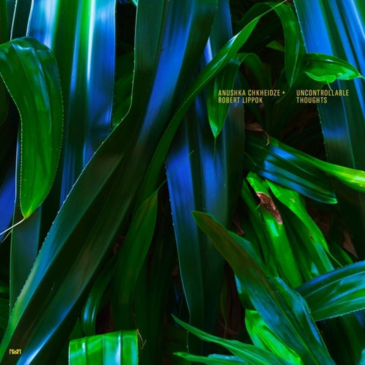 the album cover for Anushka Chkheidze  / Lippok,Robert - Uncontrollable Thoughts
