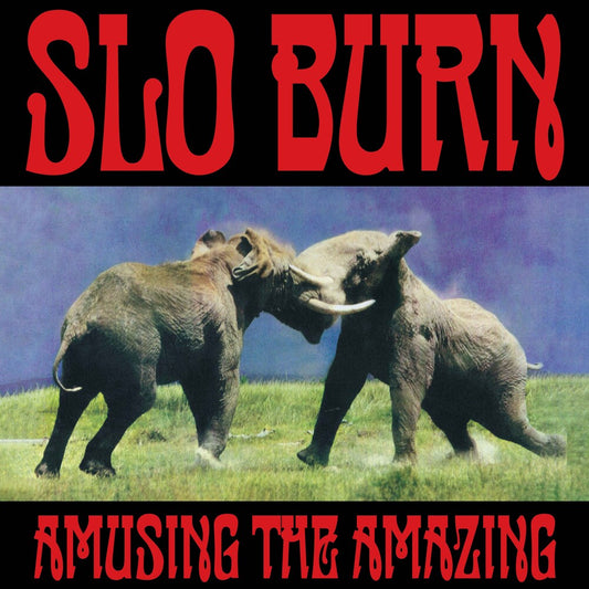 the album cover for Slo Burn - Amusing The Amazing [RSD Black Friday 2025]