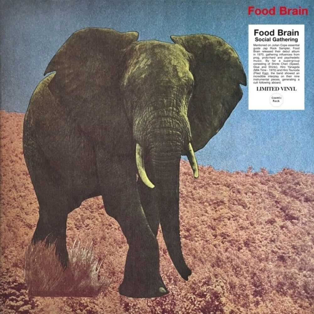 the album cover for Food Brain - Social Gathering