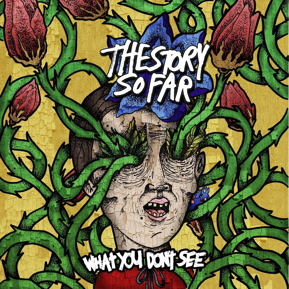 the album cover for Story So Far - What You Don't See (Blue) [Colored Vinyl] (Wht) (Spla)
