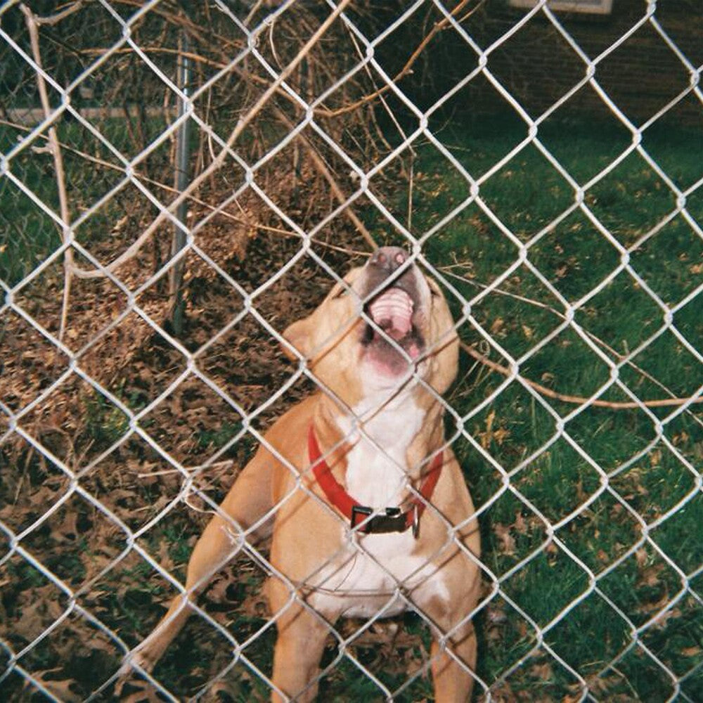 the album cover for Knocked Loose - Pop Culture [Colored Vinyl] (Spla)