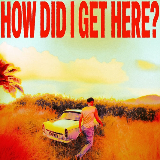 the album cover for Louis Tomlinson - How Did I Get Here? [With Booklet] [Digipak]