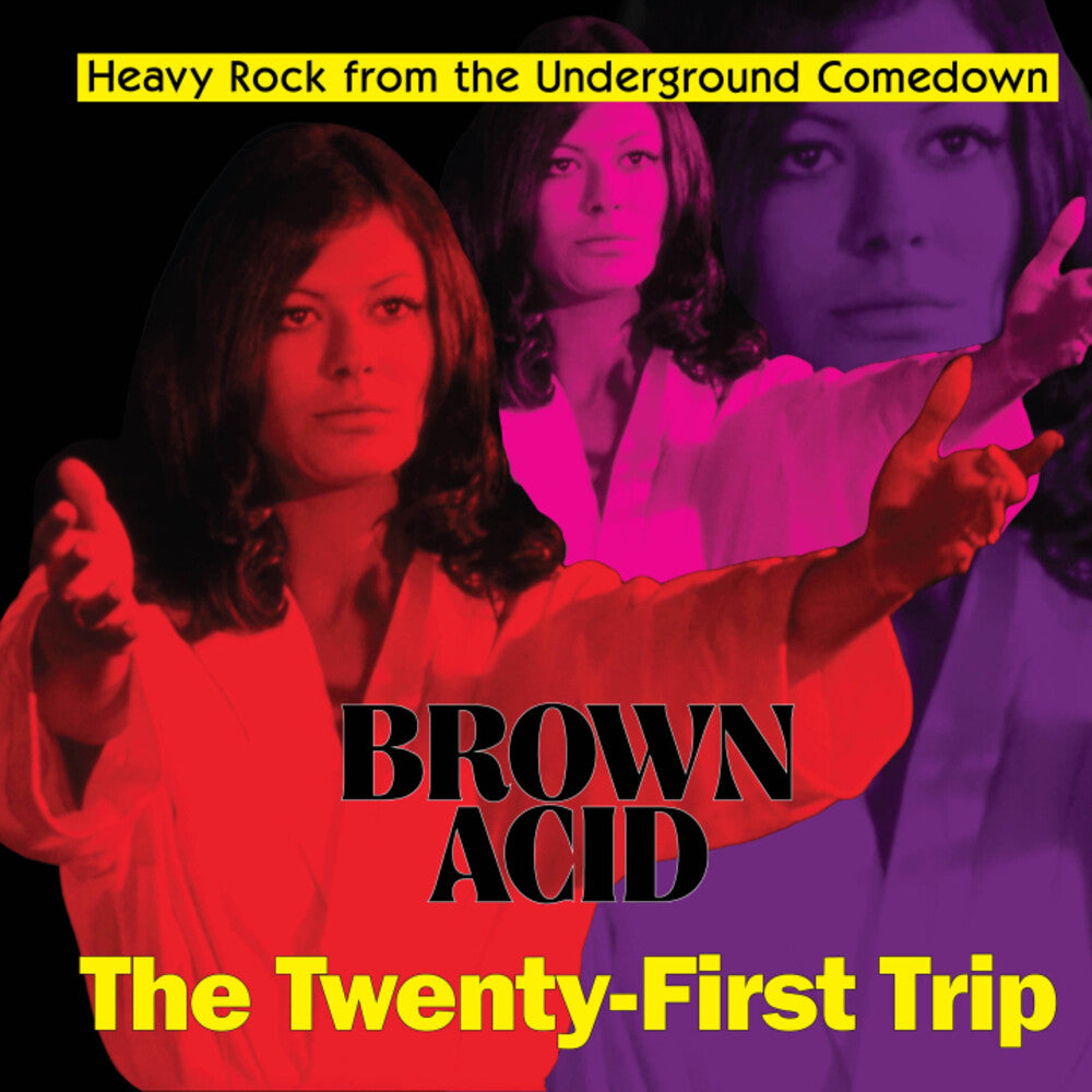 the album cover for Brown Acid - The Twenty-First Trip / Various - Brown Acid - The Twenty-First Trip / Various