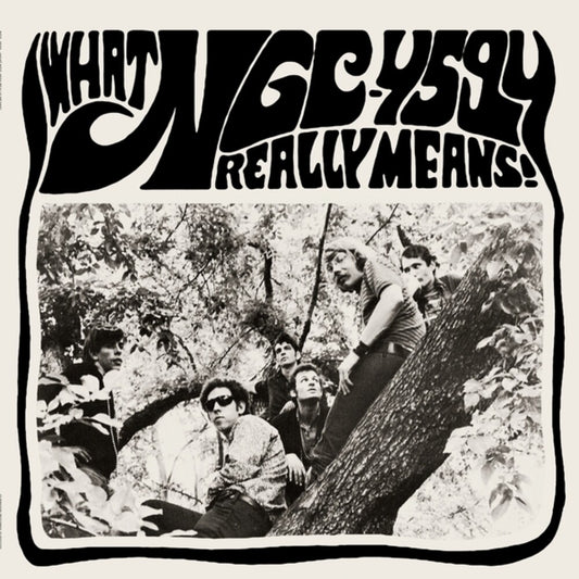 the album cover for Ngc-4594 - What Ngc-4594 Really Means