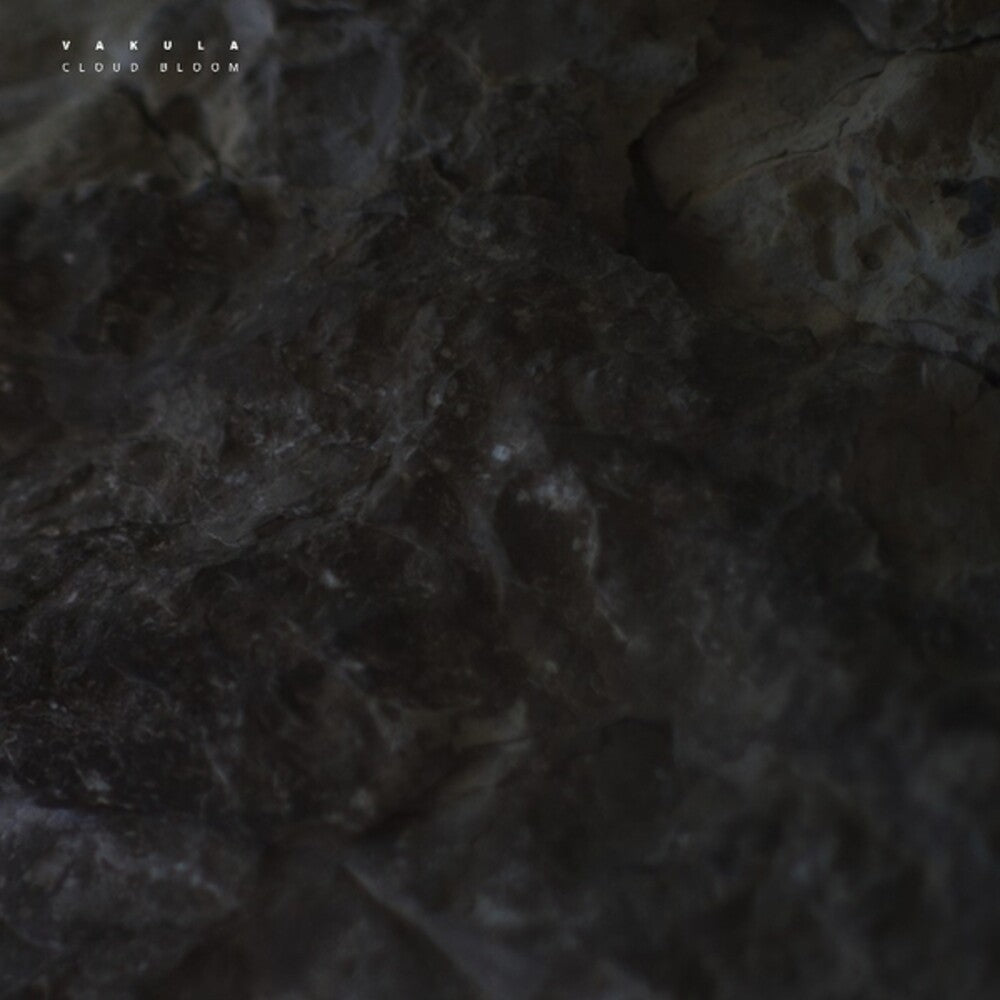 the album cover for Vakula - Cloud Bloom (Ep)