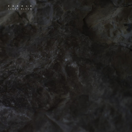 the album cover for Vakula - Cloud Bloom (Ep)