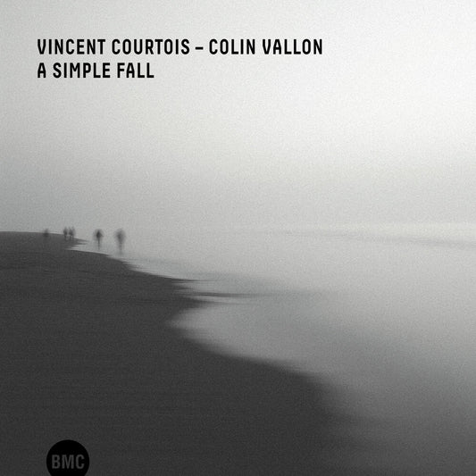 the album cover for Vincent Courtois  / Vallon,Colin - Simple Fall