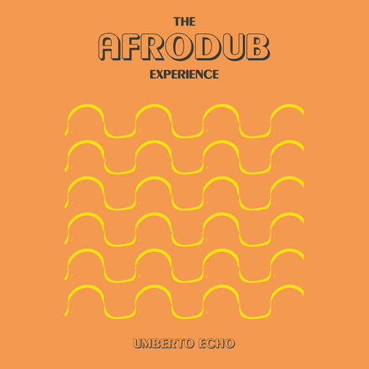 the album cover for Umberto Echo - Afrodub Experience