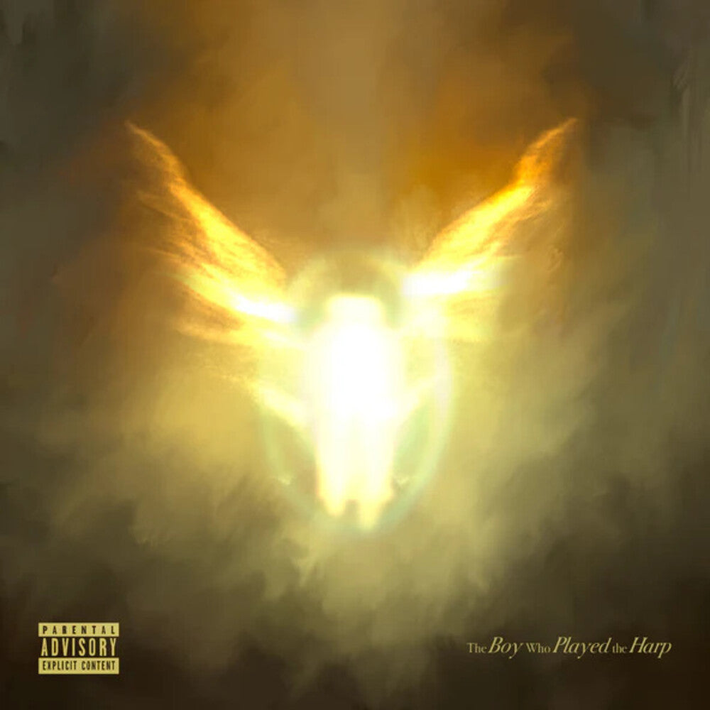 the album cover for Dave - Boy Who Played The Harp